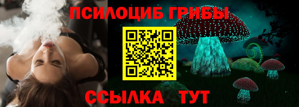 Псилоцибиновые грибы прущие грибы  Галлюциногенные грибы мицелий  Вход с VPN  где купить наркоту  Карпинск 
